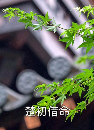 魂穿女赘婿，带着灵宠去修仙魏潇朦