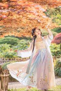 鸟归山野星辰入海全文+后续