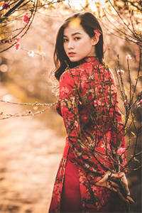 嫁入豪门以后闺蜜变毒蜜阅读