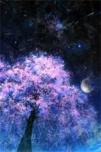 昨夜星辰昨夜风顾砚段傲君全集