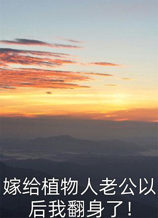 心碎宴会张扬姜甜结局+番外