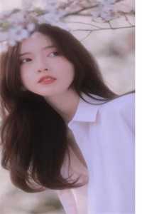 一枕清梦付东河后续