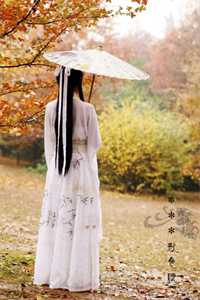 苍山终是负拭雪