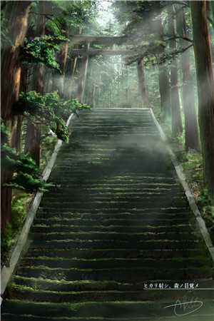 再见时，她已不在
