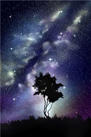 爱随风去，无迹可寻
