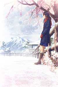 清穿：王妃好美，冷脸王爷好心动
