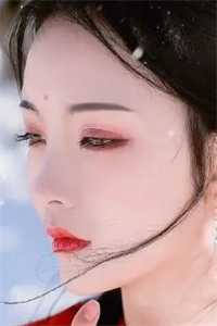镇邪秘录(陈君临诸葛青)小说完结版_热门免费小说镇邪秘录(陈君临诸葛青)