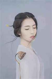我在盖亚大陆当龙骑士