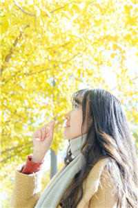 仙劫无妄