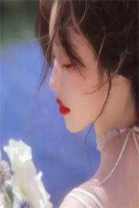 宛宛入君心