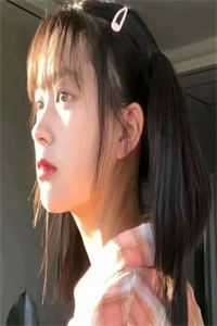 昭昭如愿不相逢