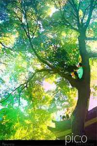 重生另嫁摄政王，屠尽侯府白眼狼(夏简兮夏简)全文免费阅读_最新全本小说重生另嫁摄政王，屠尽侯府白眼狼夏简兮夏简