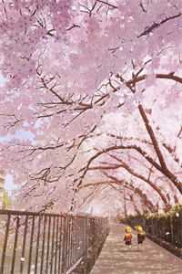 直播鉴神：开局帮校花契约敖闰