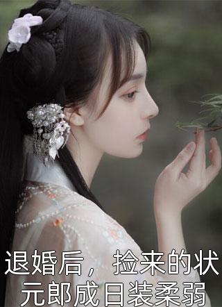 昭昭如愿岁岁安(陆崇许柠)完整免费小说_免费小说完整版昭昭如愿岁岁安(陆崇许柠)